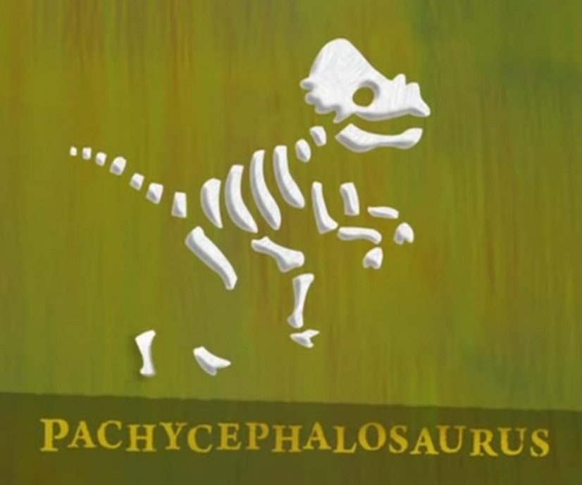 2021-05-05 Pachycephalosaurus.jpg